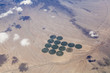 Desert Crop Circles