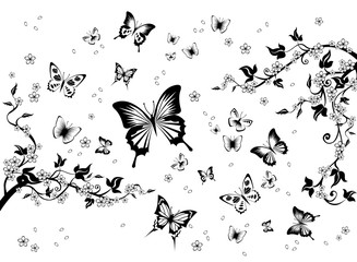 flowers and butterflies.