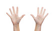 © Syda Productions - two woman hands waving hands