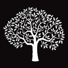 Sticker - White Vector Oak Tree on black background.