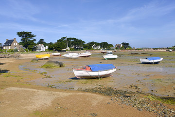 Wall Mural - Peninsula Renote at Trégastel in France