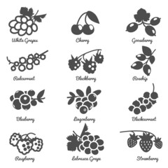 Poster - Berries Flat Icons Set