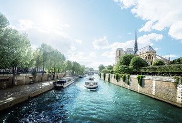 Wall Mural - Seine and Notre Dame de Paris, Paris, France