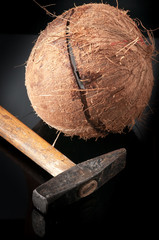 Wall Mural - Coconut broken in half with hammer