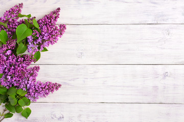 The beautiful lilac on a wooden background