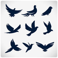 set of flying birds sign. dark silhouettes isolated on white.