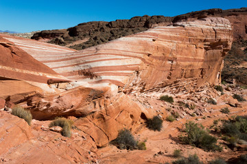 Sticker - Valley of Fire State Park