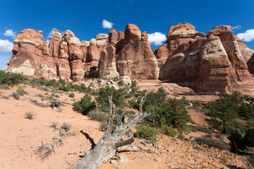 Sticker - Canyonlands Nationalpark