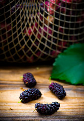 Wall Mural - the berries of an organic mulberry