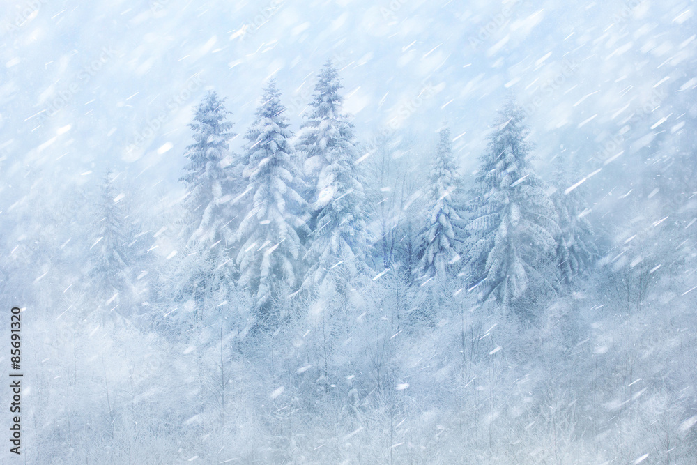 Winter forest scene with snowfall. Beautiful heavy snowfall forest landscape background. - obrazy, fototapety, plakaty 