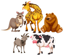 Sticker - Animals