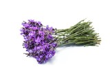 Fototapeta Lawenda - Lavender, Flower, Lavender Coloured.