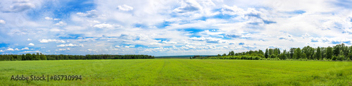 summer  landscape a panorama with a field ,  agriculture