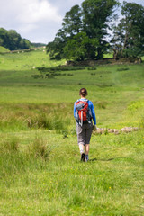 Wall Mural - Hiker crossing a Stile