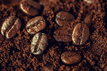 Sticker - coffee beans on coffee grounds