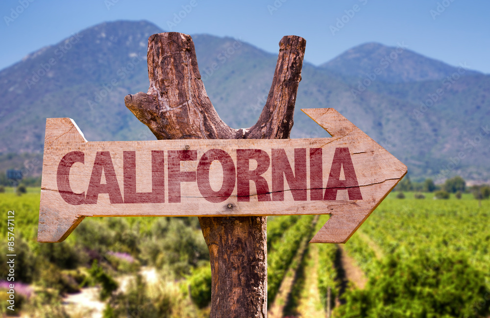 California wooden sign with winery background - obrazy, fototapety, plakaty 