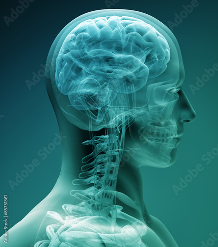 Naklejka dekoracyjna x-ray brain