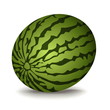 watermelon vector illustration