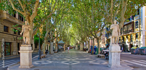 Fotomural Passeig Borne - Palma de Mallorca