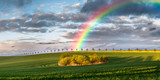 Fototapeta Tęcza - Spring colorful rainbow over the field 