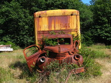 Truck At Kestner Homestead In Maple Glade Forest At Lake Quinault, Washington
