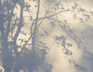 Aufkleber - Tree leaves shadow on wall background, Nature Abstract