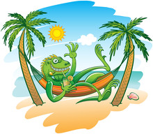 Cool Iguana Enjoying Holidays In A Hammock On The Beach