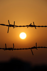 Wall Mural - Sunset behind a fence of barbed wire