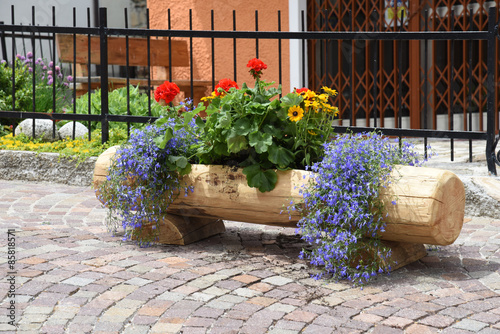 vasi di fiori anfora piante fiore giardino - Acquista ...