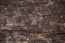 Wall Wood Texture Background