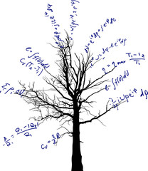 tree with blue mathematical equations illustration