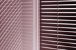 Window with louvers