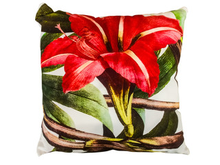 Wall Mural - Pillow