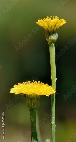 500_F_85889126_egvmfErA399yDYFTehfHxoFwEWD9DZmh.jpg