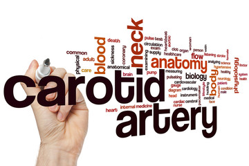 Sticker - Carotid artery word cloud