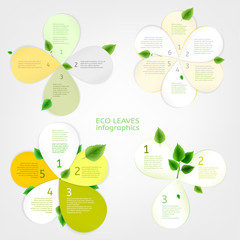 Wall Mural - Leaves infographic