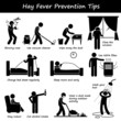 Hay Fever Prevention Allergy Tips Vector Illustrations