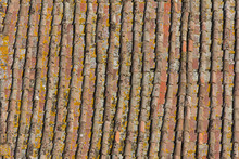 Ageing Rooftiles In Siena Italy