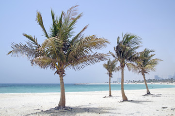 Dubai beach