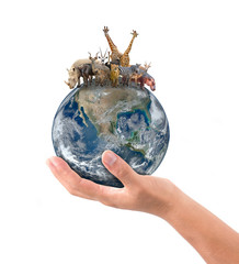 hand hold animal on the earth