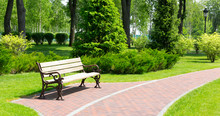 Bench In The Local Park