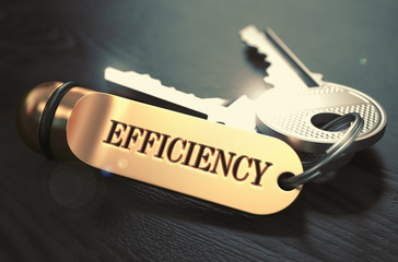 Poster - Keys with Word Efficiency on Golden Label.