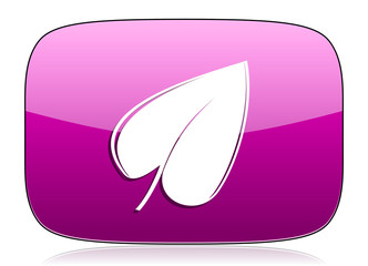 nature violet icon leaf symbol