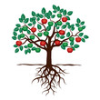 Young Tree with Green Leafs, Roots and Red Apple. Vector Illustration