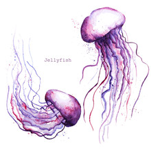 Vector Watercolor Jellyfish