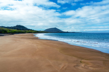 Wall Mural - Wide Sandy Beach