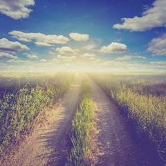 Wall Mural - Vintage photo of field and blue sky