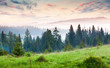 © Andrew Mayovskyy - Early morning in the foggy Carpathian mountains