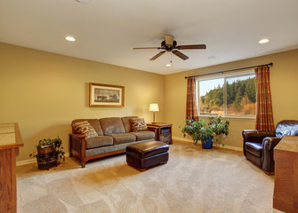 Wall Mural - Nice family room with carpet and space.