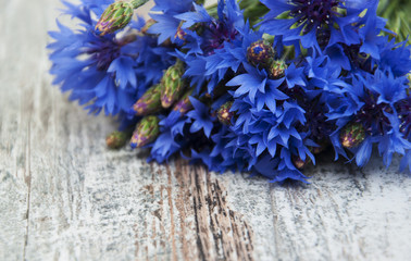 Wall Mural - Cornflowers